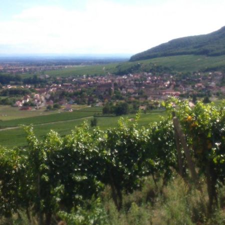 Gîtes&Chambes d'Hôtes Fugler Orschwihr Exterior foto