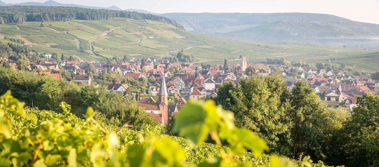 Gîtes&Chambes d'Hôtes Fugler Orschwihr Exterior foto